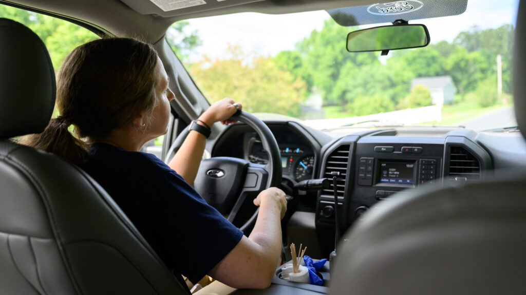 Mumm sits behind the wheel of a pick-up truck that she's driving around the North Carolina Zoo.