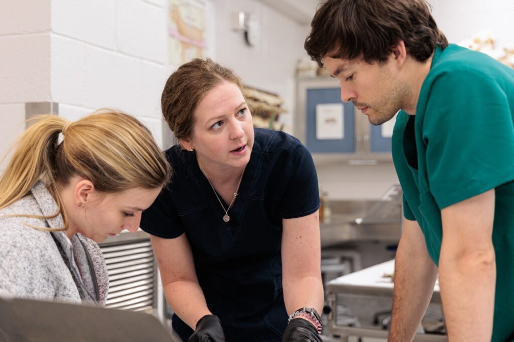 Dr. Lauren Mumm, leaning over an anatomy table, talks to the two veterinary students flanking her.