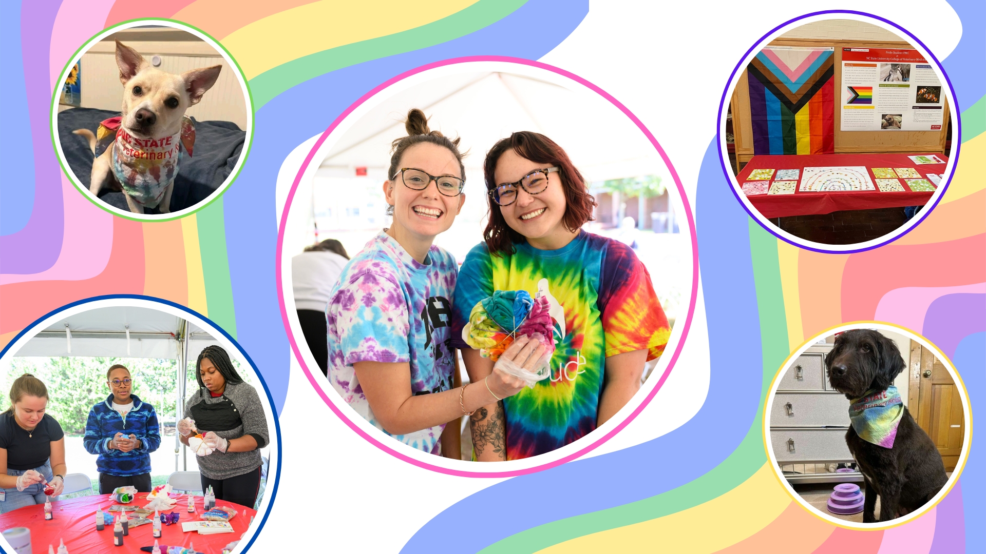 A graphic featuring five photos in colorful circular frames overlaid on a rainbow background. The photos are two women smiling with tie-dyed shirts, two dogs wearing tie-dyed bandanas, a Pride flag on a display board for the Pride Student Veterinary Medical Community, and three people tie-dyeing at one of the club's events.