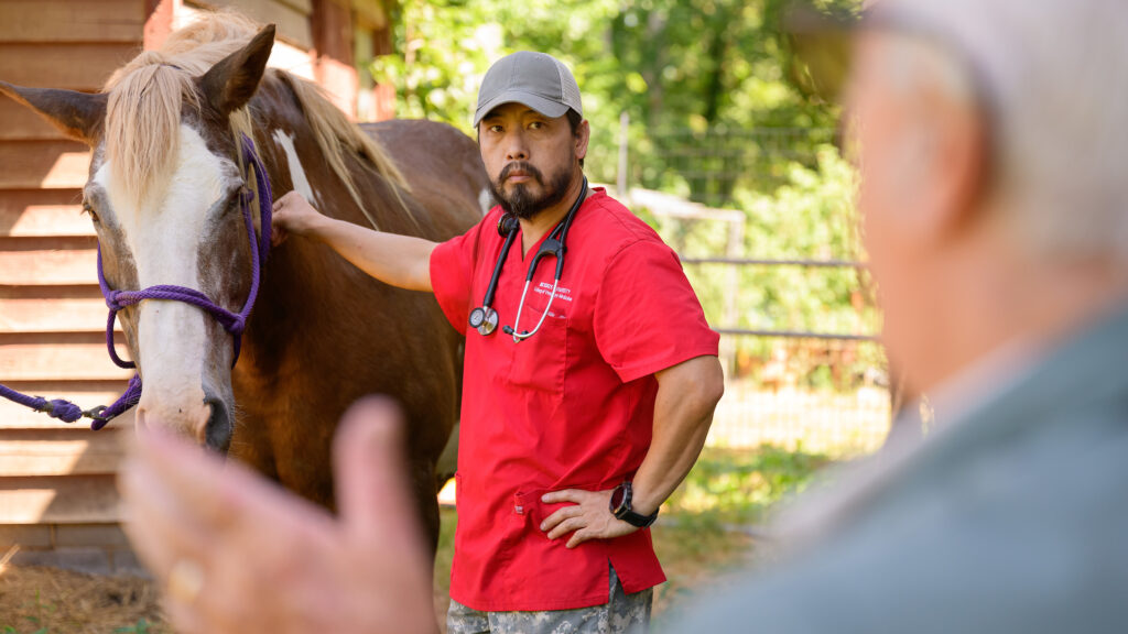 A male veterinary student pauses while examining a brown-and-white draft horse to listen to a mentor veterinarian, visible gesturing in the foreground.