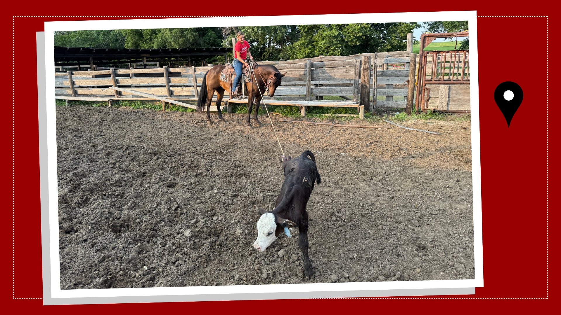 Student Ally Elliott ropes a calf on the Rosebud Reservation in South Dakota