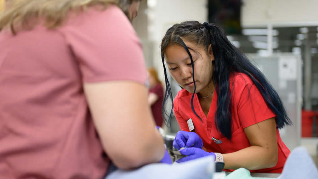 Megan Wallace gives an injection to a feline patient, not pictured, in the Veterinary Hospital's emergency clinic.