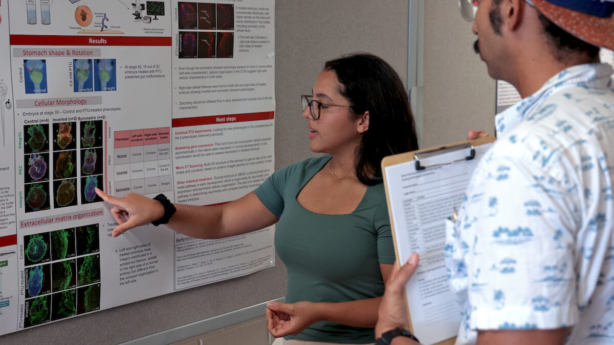 A student presenting their researcher.