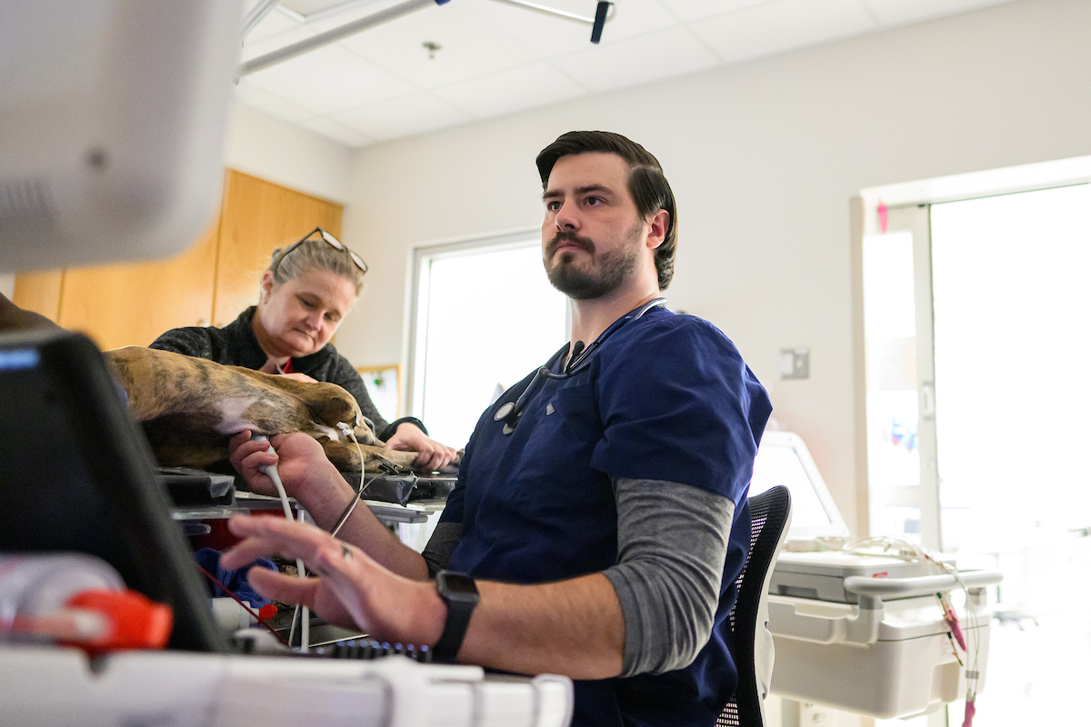 Seth Bowden working with a patient. 