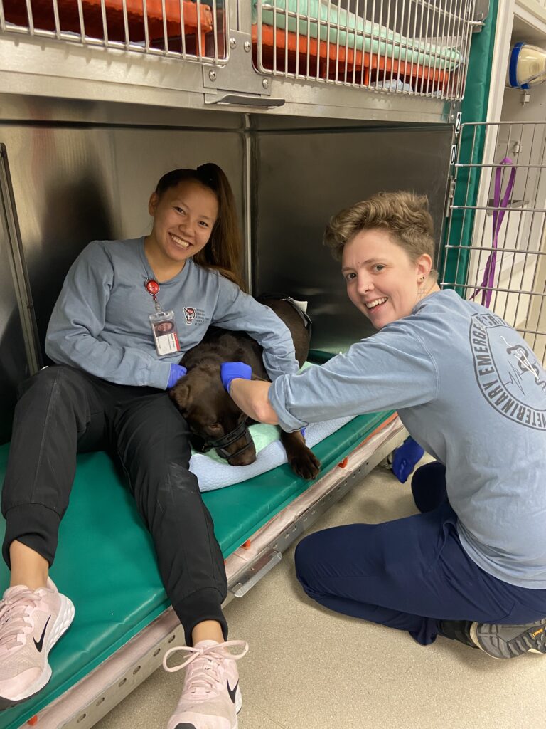 Megan Wallace and fellow veterinary technician Ellie Seymour keep a canine patient company at the NC State Veterinary Hospital by holding the dog.