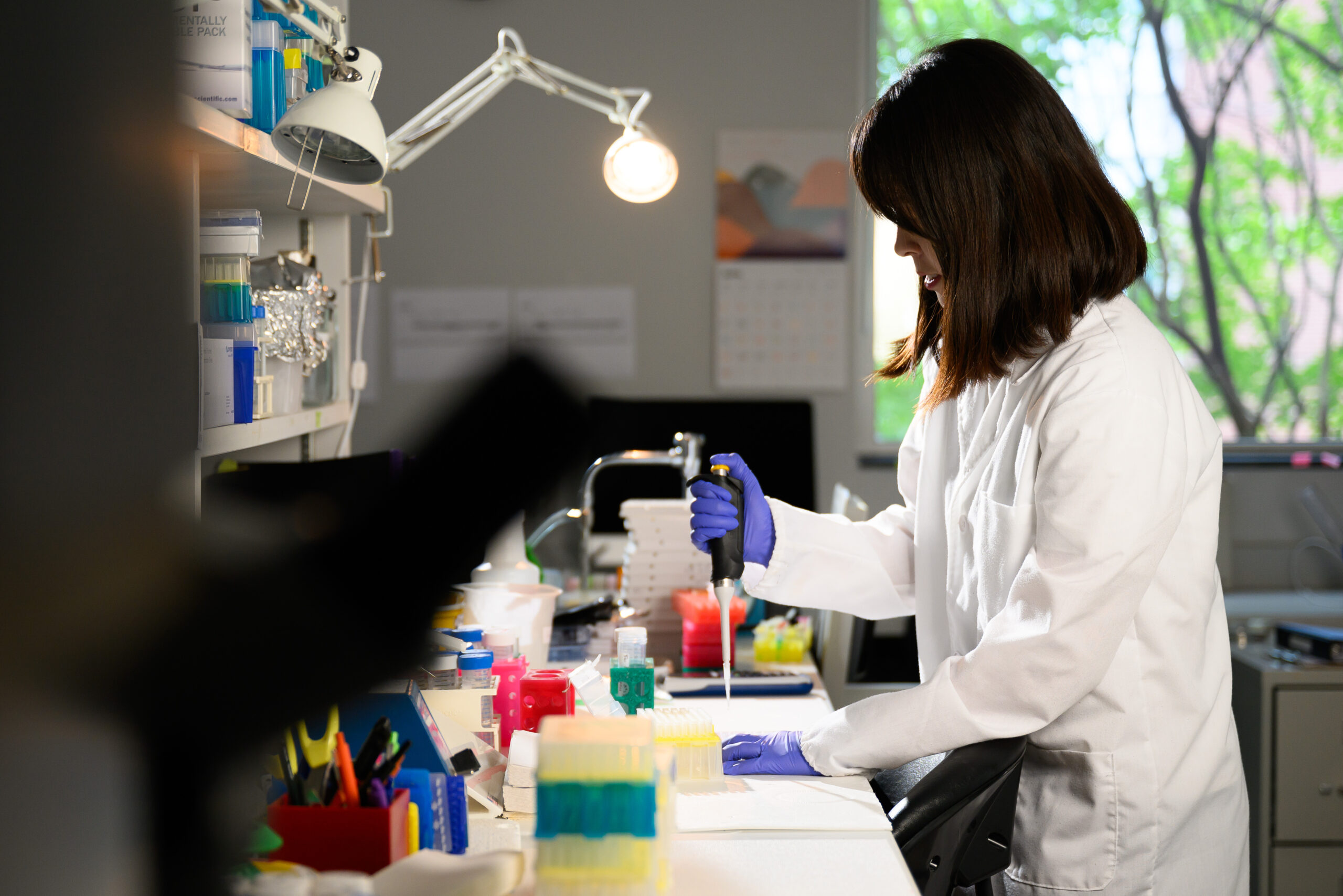 PhD student Aoi Nakanishi-Hester working in the lab.