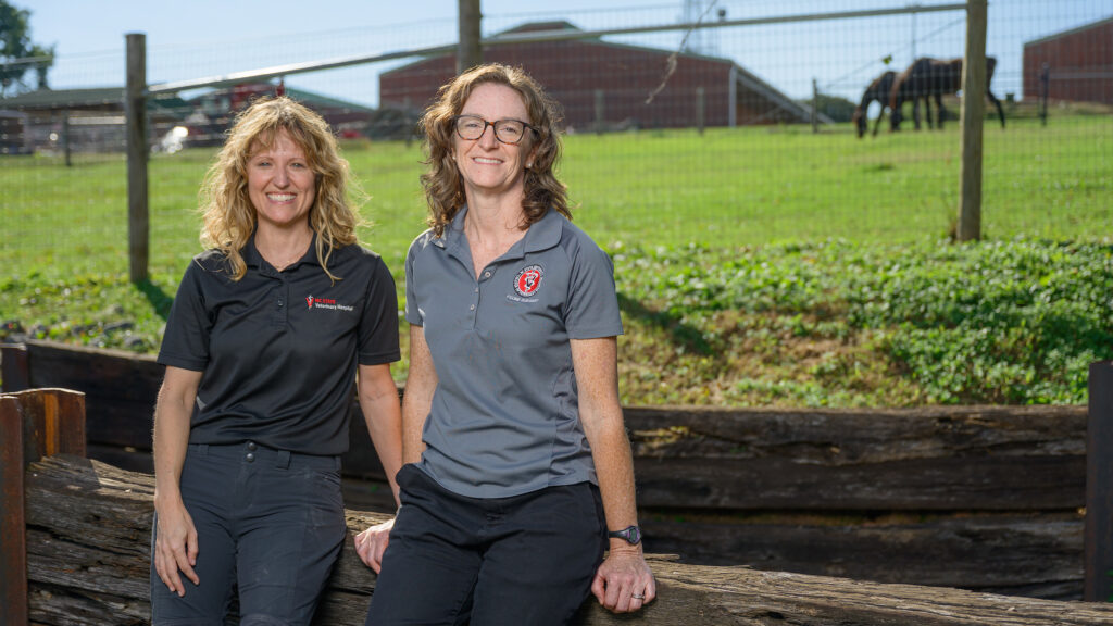 Dr. Katie Sheats and Dr. Callie Fogle, an associate professor and professor of equine health, respectively, sit on a fence in front of a horse pasture at NC State.