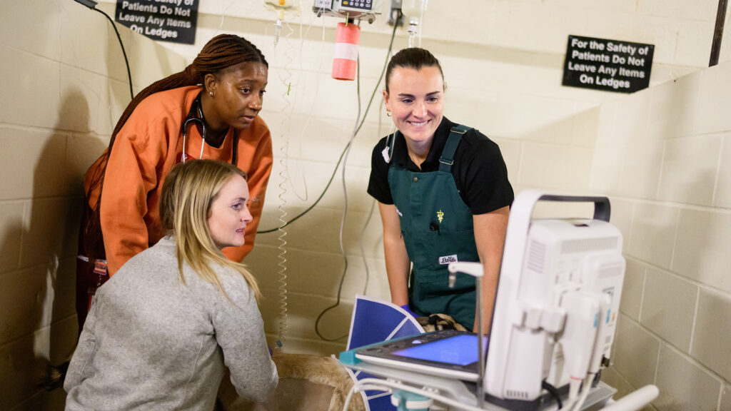 Mitman smiles while looking at a monitor in a treatment stall at the college. Two other people, a student and an assistant clinical professor, work with her.