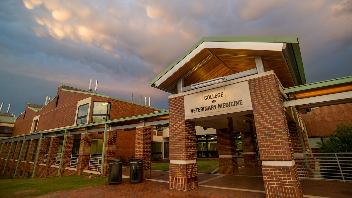 The exterior of the NC State College of Veterinary Medicine building.