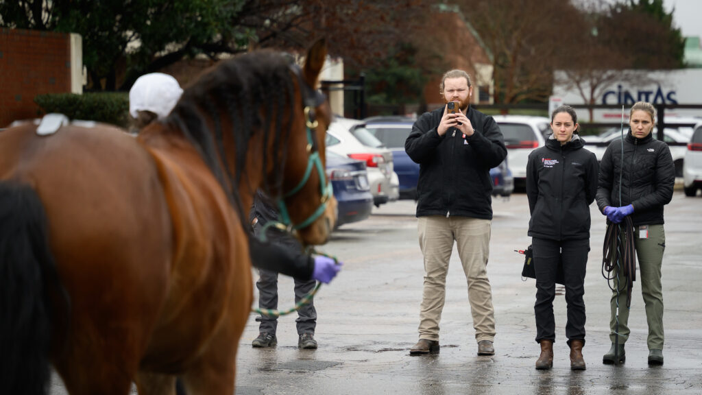 Tufts, center in a group of three veterinarians, watches the horse canter outside the Veterinary Hospital as part of the gait test. The horse is visible in the left foreground of the image.
