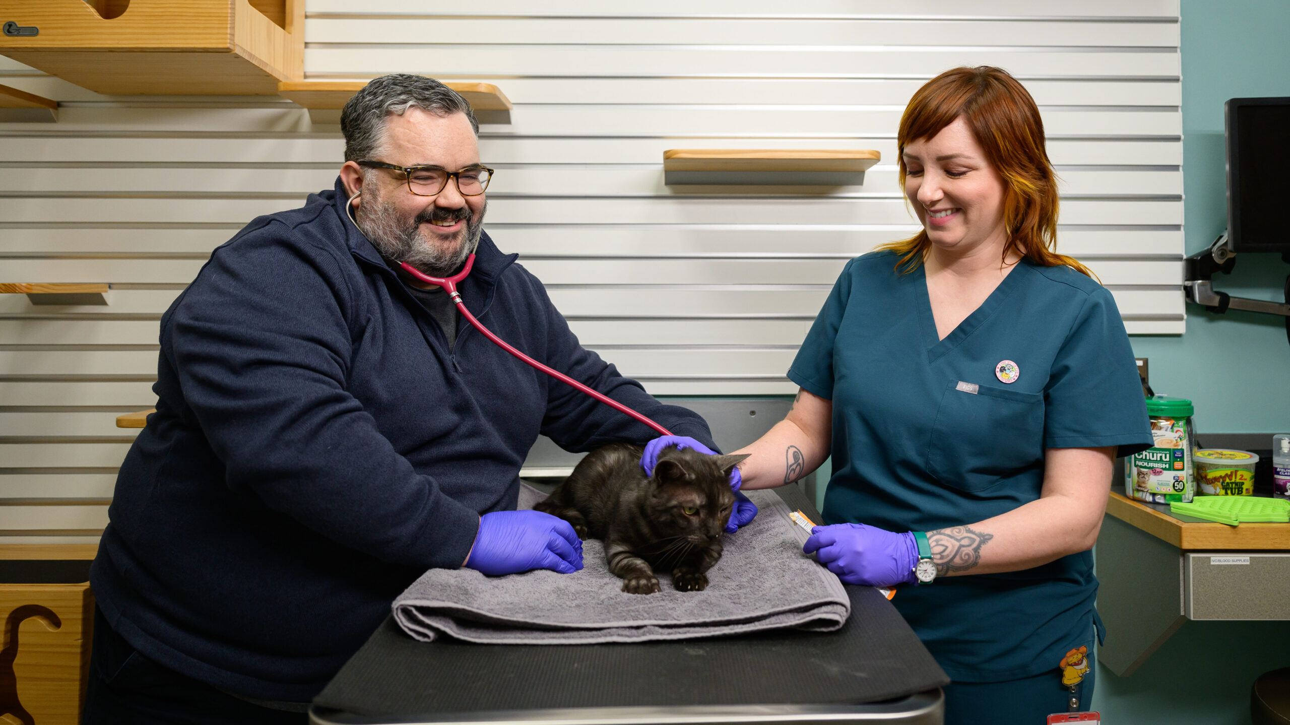 Dr. Alex Lynch puts a red stethoscope to a black cat as RVT Danielle Tsukuda smiles and holds the cat.