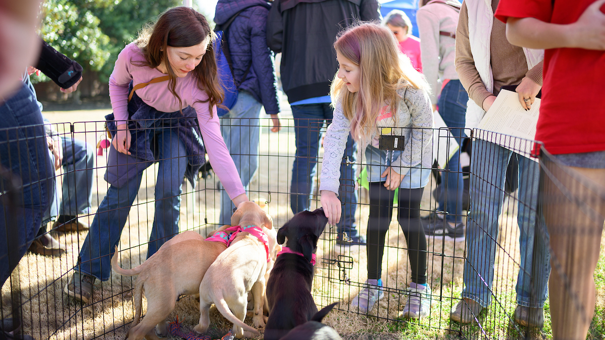 Two girls pet puppies