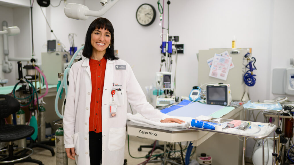 Dr. Porcel Sánchez smiles at the camera with her left hand placed on an examination table. She stands in a dental clinic at the NC State Veterinary Hospital.