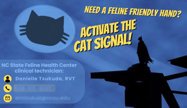 The blue cat signal flyer saying in yellow letters: Need a feline friendly hand? Activate the cat signal!