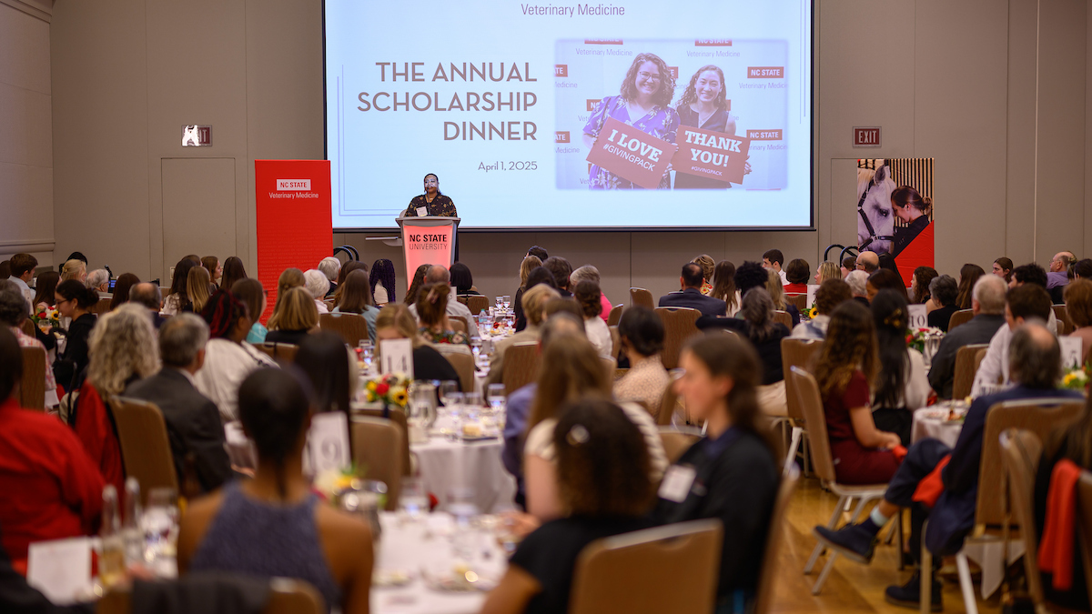 The Annual Scholarship Dinner at the Talley Student Center
