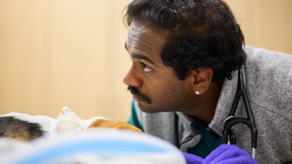 Joseph monitors a patient's vital signs during a sedated dental procedure.