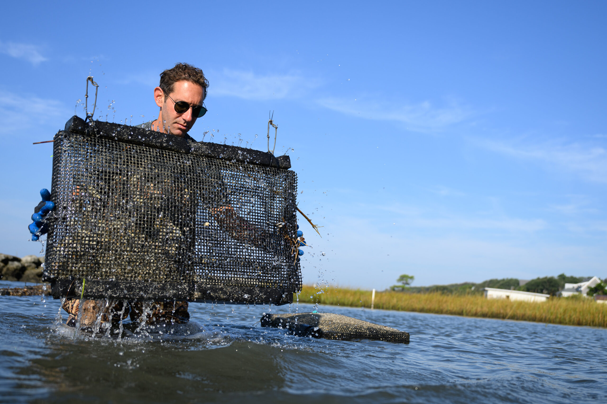 Dr. Tal Ben-Horin relocates a set of oyster bags from CMAST to Core Sound as part of a study into the disease resistance of different genetic lines of oyster.