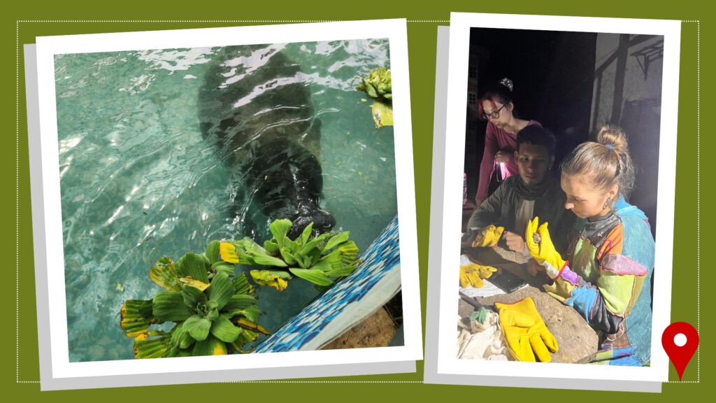A green graphic with a picture of a sloth on the left and a picture of Eris Mihelic, wearing a kelly green T-shirt, on the right.