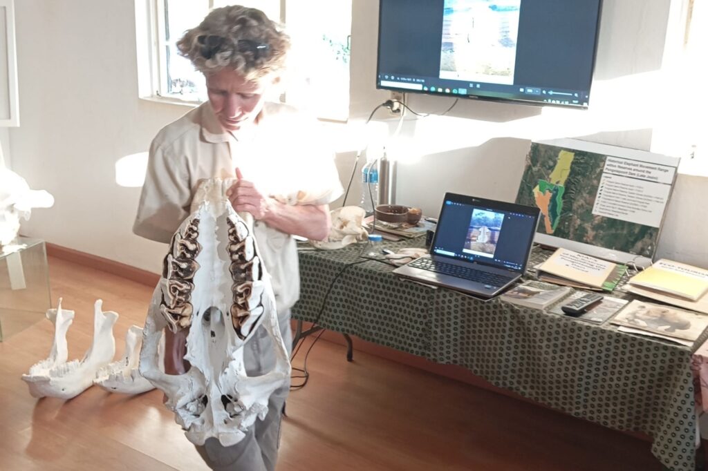 an instructor walks around with a skeletal jaw from a large animal