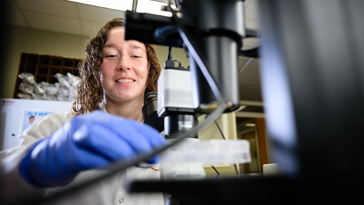 VSP participant Brooke Stonemetz wears purple gloves and a white coat as she works with a microscope and slides
