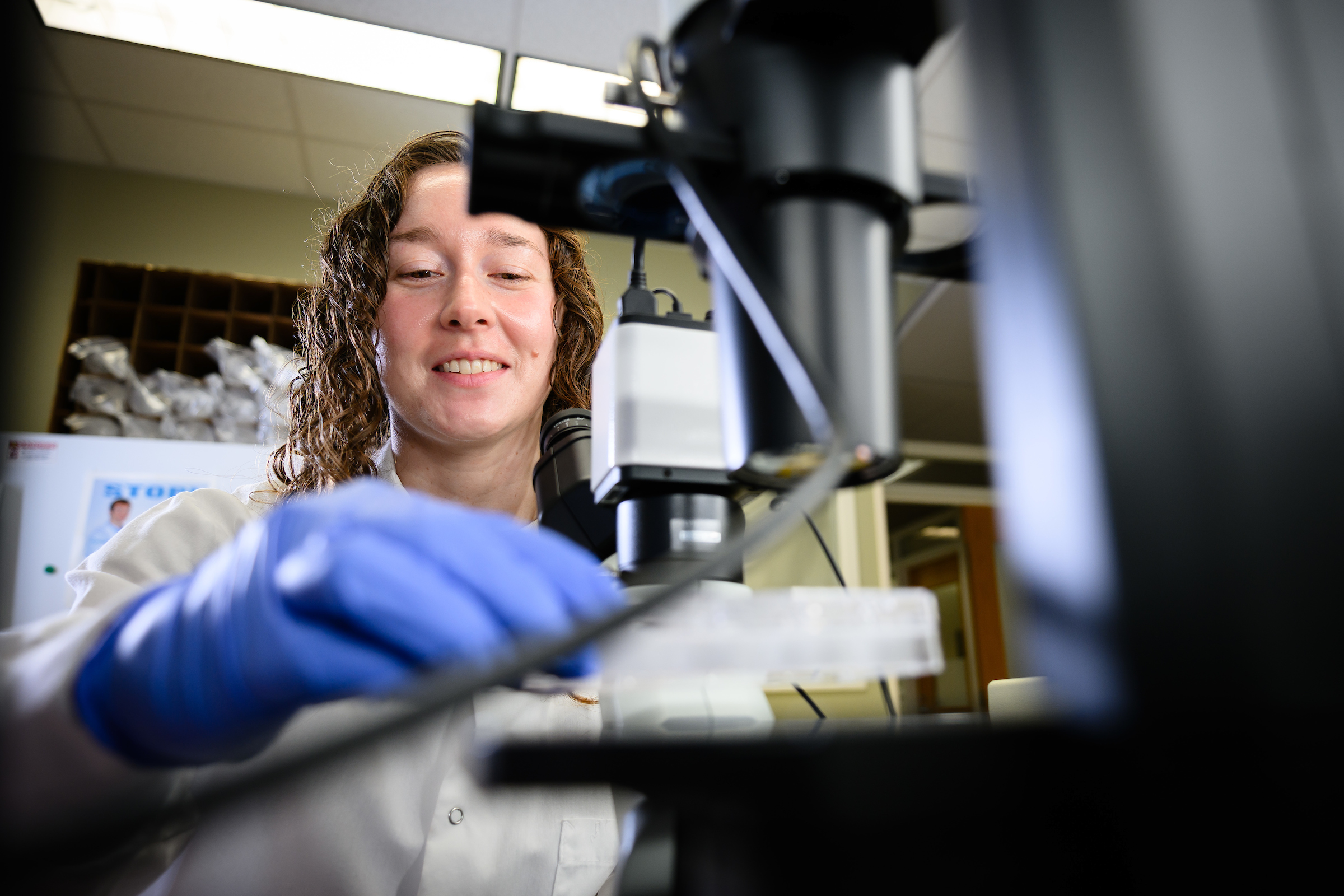 Veterinary Scholars Program participant Brooke Stonemetz wears a white lab coat and purple gloves to work at a microscope in a lab.