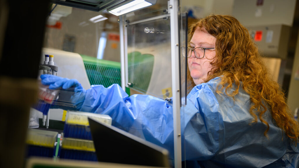 VSP student Katherine Stalford, wearing blue gown and gloves, works on a vector-borne disease project in the lab of Dr. Adam Birkenheuer on the NC State College of Veterinary Medicine campus.