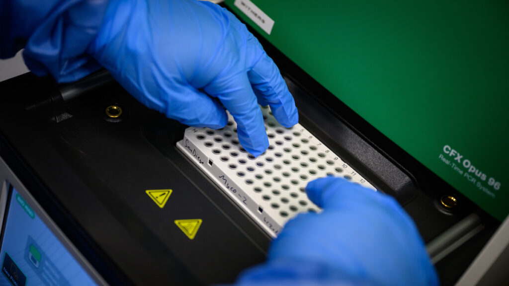 The hands of Katherine Stalford in blue gloves working on a microscope sample.