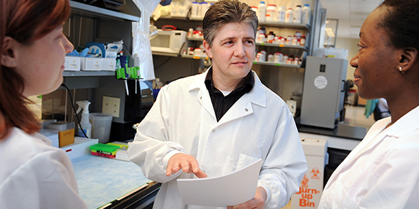 Dr. Matthew Breen works with students in his lab in the research building at the College of Veterinary Medicine
