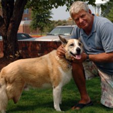 Steve Posovsky's dog Cassidy.