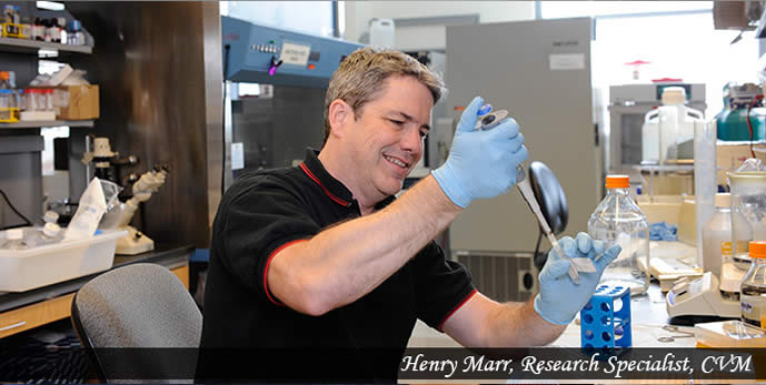Henry Marr