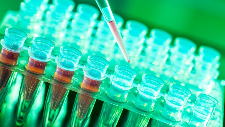 Laboratory research of cancer diseases, rack with RNA