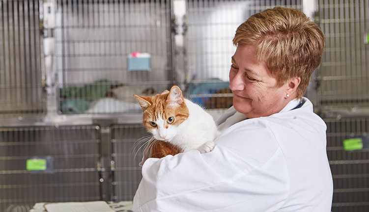 Veterinarian with cat.