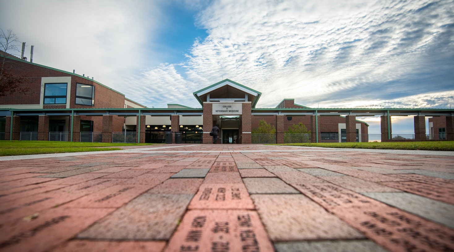 Engraved bricks on walkway leading to CVM entrance