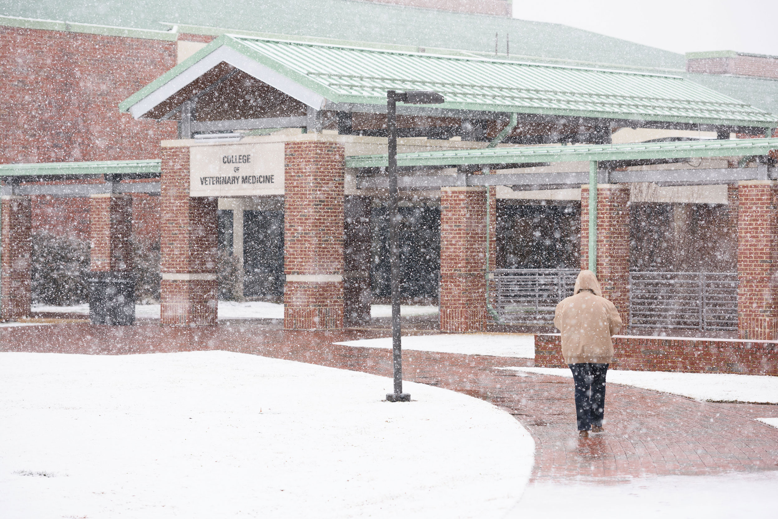 CVM building in the snow
