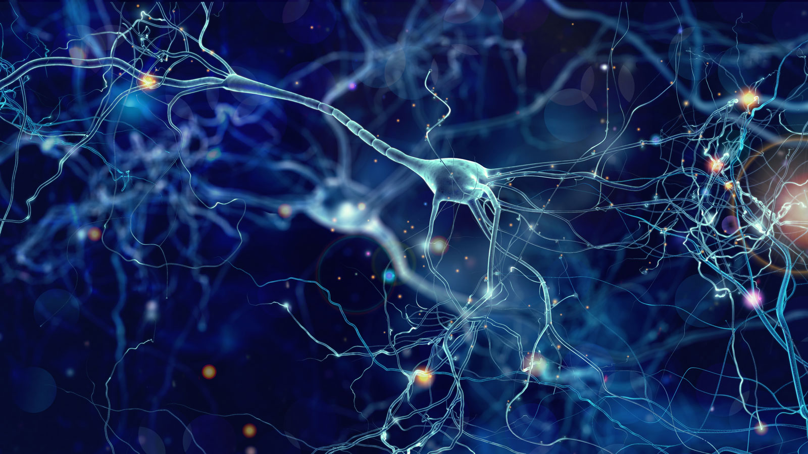 illustration of neuropeptide