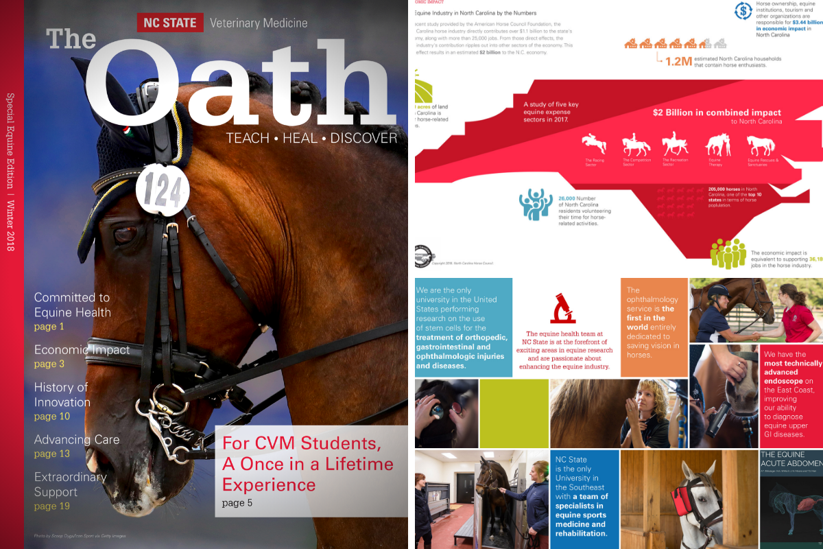 Oath Cover