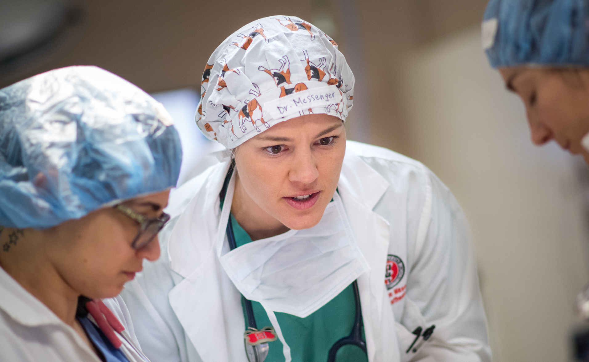 Kristen Messenger, assistant professor of pharmacology