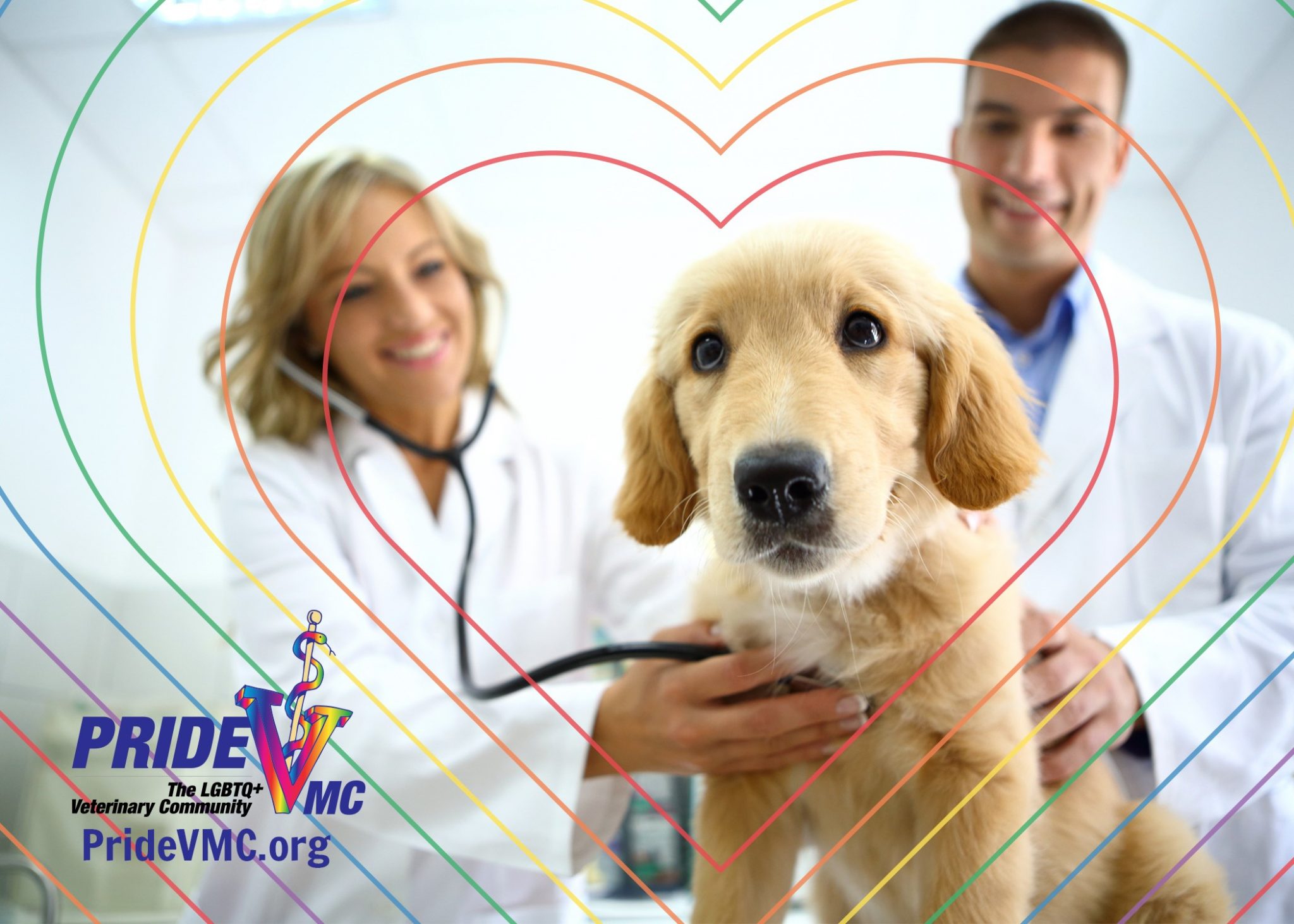 LGBTQ+ vet community day